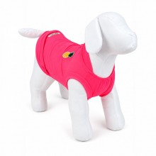 regata para pet